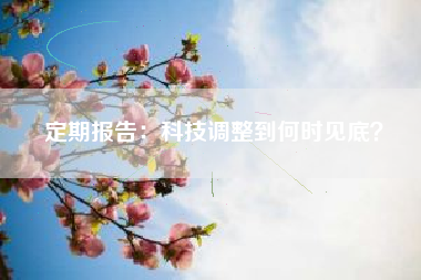 定期报告：科技调整到何时见底？