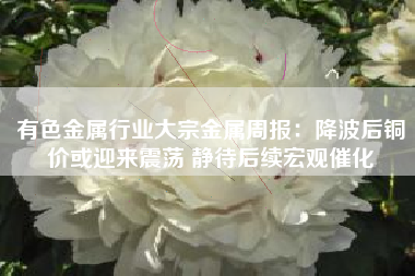 有色金属行业大宗金属周报：降波后铜价或迎来震荡 静待后续宏观催化
