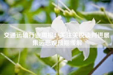 交通运输行业周报：关注关税谈判进展 集运悲观预期缓解