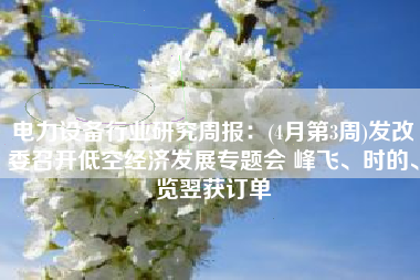 电力设备行业研究周报：(4月第3周)发改委召开低空经济发展专题会 峰飞、时的、览翌获订单