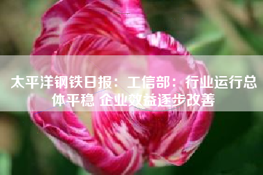 太平洋钢铁日报：工信部：行业运行总体平稳 企业效益逐步改善