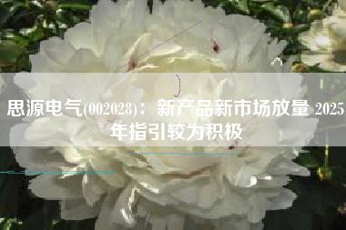 思源电气(002028)：新产品新市场放量 2025年指引较为积极