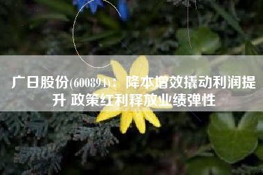广日股份(600894)：降本增效撬动利润提升 政策红利释放业绩弹性