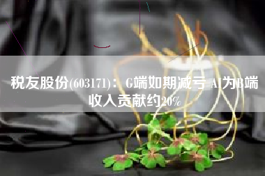 税友股份(603171)：G端如期减亏 AI为B端收入贡献约20%