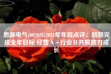 思源电气(002028)2024年年报点评：超额完成全年目标 经营Α+行业Β共振助力成长