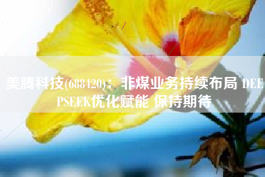 美腾科技(688420)：非煤业务持续布局 DEEPSEEK优化赋能 保持期待