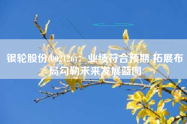 银轮股份(002126)：业绩符合预期 拓展布局勾勒未来发展蓝图