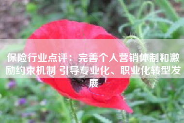 保险行业点评：完善个人营销体制和激励约束机制 引导专业化、职业化转型发展