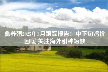 禽养殖2025年3月跟踪报告：中下旬鸡价回暖 关注海外引种短缺