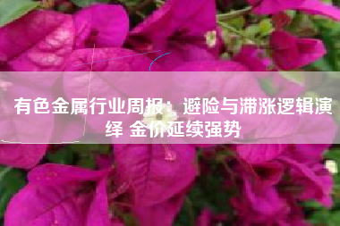 有色金属行业周报：避险与滞涨逻辑演绎 金价延续强势