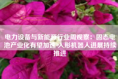 电力设备与新能源行业周观察：固态电池产业化有望加速 人形机器人进展持续推进