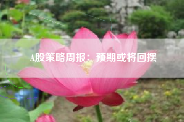 A股策略周报：预期或将回摆