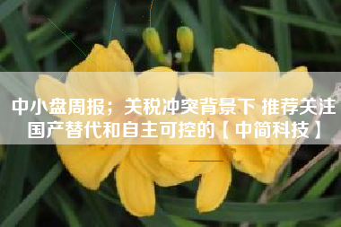 中小盘周报；关税冲突背景下 推荐关注国产替代和自主可控的【中简科技】