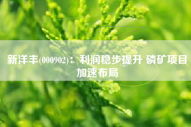 新洋丰(000902)：利润稳步提升 磷矿项目加速布局