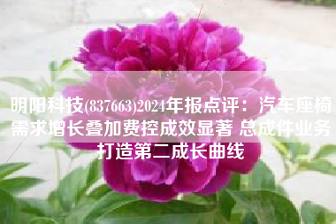 明阳科技(837663)2024年报点评：汽车座椅需求增长叠加费控成效显著 总成件业务打造第二成长曲线