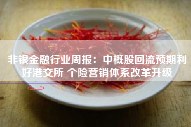 非银金融行业周报：中概股回流预期利好港交所 个险营销体系改革升级