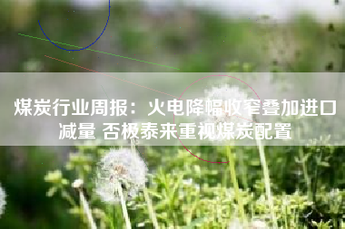 煤炭行业周报:火电降幅收窄叠加进口减量 否极泰来重视煤炭配置 煤炭行业周报:火电降幅收窄叠加进口减量 否极泰来重视煤炭配置