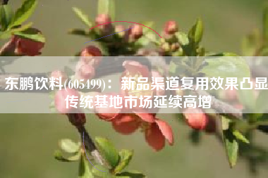 东鹏饮料(605499)：新品渠道复用效果凸显 传统基地市场延续高增