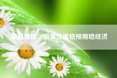 策略周报：政策注重稳预期稳经济