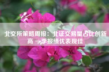 北交所策略周报：北证交易量占比创新高 一季报绩优表现佳