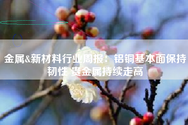 金属&新材料行业周报：铝铜基本面保持韧性 贵金属持续走高