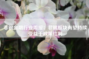 非银金融行业周报：非银板块有望持续受益于政策红利