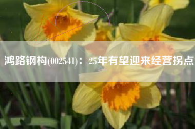 鸿路钢构(002541)：25年有望迎来经营拐点