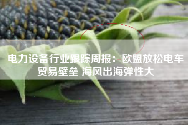 电力设备行业跟踪周报：欧盟放松电车贸易壁垒 海风出海弹性大