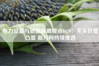电力设备与新能源周观点0420：龙头价值凸显 新方向持续推进