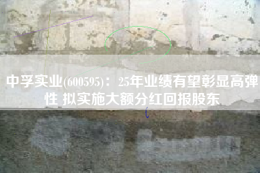 中孚实业(600595)：25年业绩有望彰显高弹性 拟实施大额分红回报股东