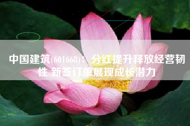 中国建筑(601668)：分红提升释放经营韧性 新签订单展现成长潜力