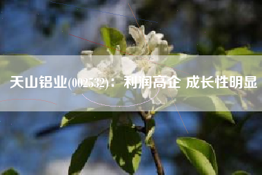 天山铝业(002532)：利润高企 成长性明显