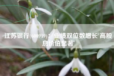 江苏银行(600919)：业绩双位数增长 高股息价值显著