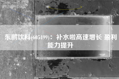 东鹏饮料(605499)：补水啦高速增长 盈利能力提升