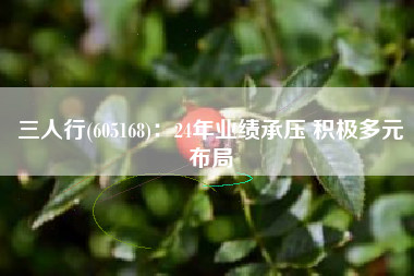 三人行(605168)：24年业绩承压 积极多元布局