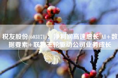 税友股份(603171)：净利润高速增长 AI+数据要素+联营三轮驱动公司业务成长