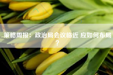 策略周报：政治局会议临近 应如何布局？