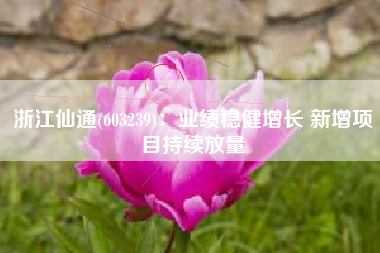 浙江仙通(603239)：业绩稳健增长 新增项目持续放量