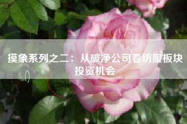 摸象系列之二：从破净公司看纺服板块投资机会