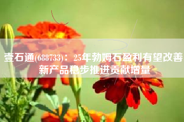 壹石通(688733)：25年勃姆石盈利有望改善 新产品稳步推进贡献增量