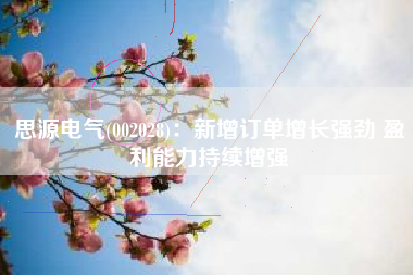 思源电气(002028)：新增订单增长强劲 盈利能力持续增强