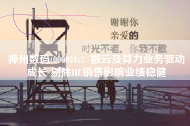 神州数码(000034)：数云及算力业务驱动成长 剔除IIC销售影响业绩稳健