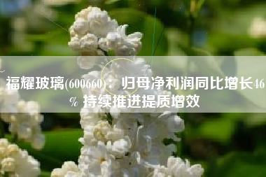 福耀玻璃(600660)：归母净利润同比增长46% 持续推进提质增效