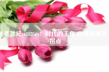寒武纪(688256)：时代的主角 业绩迎爆发拐点