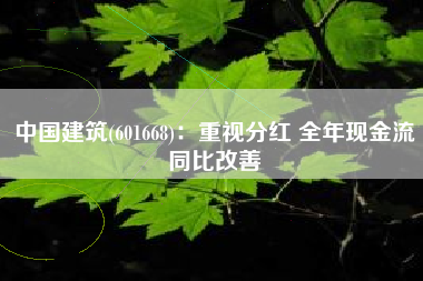 中国建筑(601668)：重视分红 全年现金流同比改善