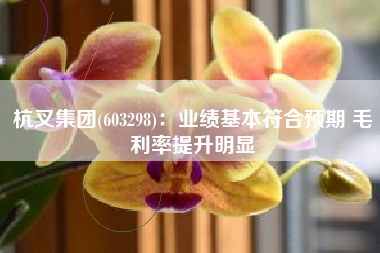 杭叉集团(603298)：业绩基本符合预期 毛利率提升明显