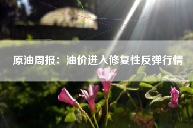 原油周报：油价进入修复性反弹行情