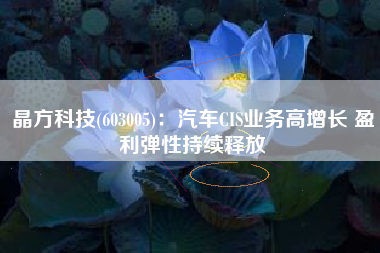 晶方科技(603005)：汽车CIS业务高增长 盈利弹性持续释放