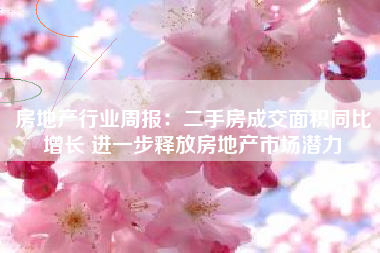 房地产行业周报：二手房成交面积同比增长 进一步释放房地产市场潜力