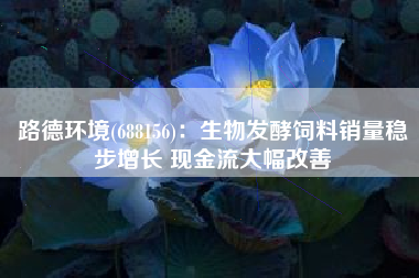 路德环境(688156)：生物发酵饲料销量稳步增长 现金流大幅改善